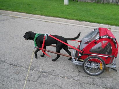 DIY Dog Pull panier fait d'un vélo pliant remorque 9 étapes (avec photos)