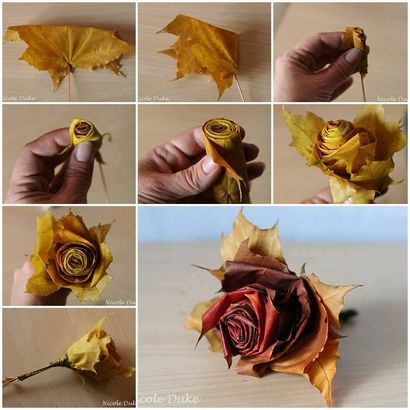DIY Fall-Blatt-Roses, wie Rosen aus Herbstblättern Make