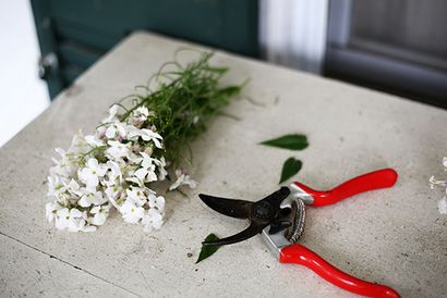 DIY fleurs fraîches Couronne