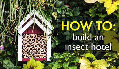 DIY Wie ein Insektenhotel bauen aus vorgefundenen Materialien, Inhabitat - Green Design, Innovation,