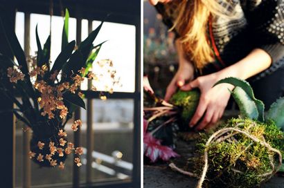 DIY Wie man einen Bonsai String Garten, Inhabitat Make - Green Design, Innovation, Architektur, Grün