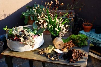 DIY Wie man einen Bonsai String Garten, Inhabitat Make - Green Design, Innovation, Architektur, Grün
