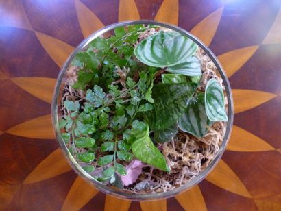 DIY Comment faire votre propre terrariums vert pour garder ou donner pour les vacances, Inhabitat - Vert
