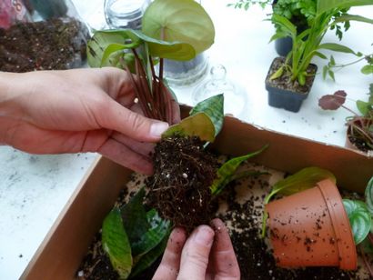 DIY Wie Sie Ihr eigenes grünes Terrarium zu halten oder zu verschenken für die Feiertage, Inhabitat zu machen - Grün