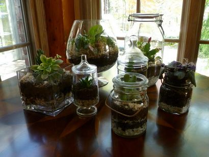 DIY Comment faire votre propre terrariums vert pour garder ou donner pour les vacances, Inhabitat - Vert