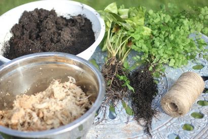 DIY Kokedama hängende Schnur Pflanzen - My Little Sunshine House