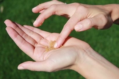 DIY lèvres Gommage Soins de beauté naturelle - Beauté Fitness, Bricolage - Honnêtement (vos lèvres circulaire) DIY lèvres Gommage Soins de beauté naturelle - Beauté Fitness, Bricolage - Honnêtement