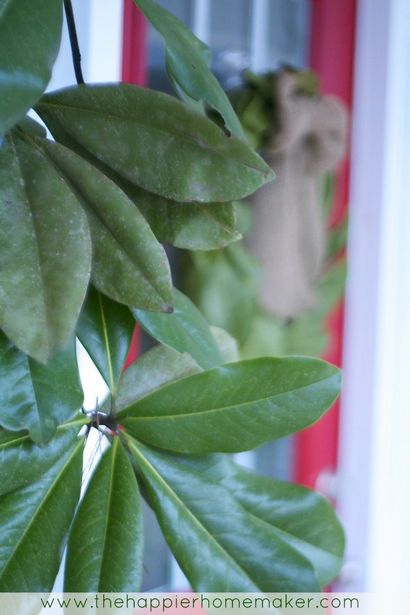 DIY Magnolia Garland, The Happier Haus