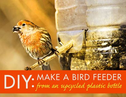 Machen Sie einen Vogel-Zufuhr von einer Upcycled Plastikflasche DIY, Inhabitat - Green Design, Innovation,