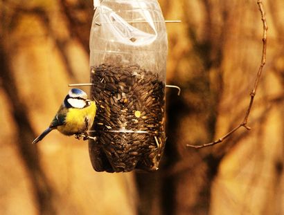 Machen Sie einen Vogel-Zufuhr von einer Upcycled Plastikflasche DIY, Inhabitat - Green Design, Innovation,