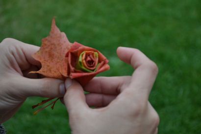 Diy Ahornblatt Rosen, solarpoweredkate