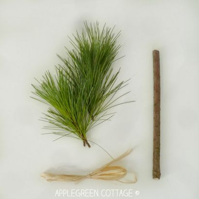 DIY Natur Pinsel für Kinder - Applegreen Cottage