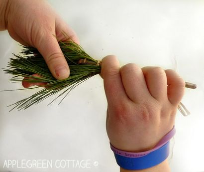 DIY Natur Pinsel für Kinder - Applegreen Cottage