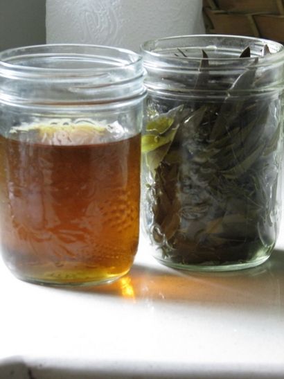 DiY Olive Leaf Extract avec des avantages, Joybilee Ferme