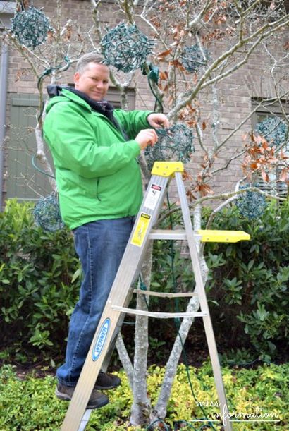 DIY im Freien Weihnachtsschmuck, Fräulein Informationen