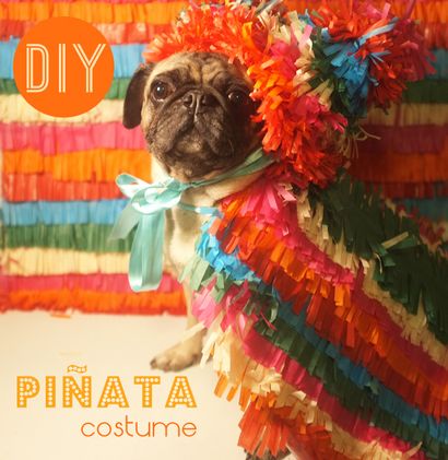 Bricolage Piñata Dog Costume - Alana Jones-Mann (comment faire un costume de pinata) Bricolage Piñata Dog Costume - Alana Jones-Mann