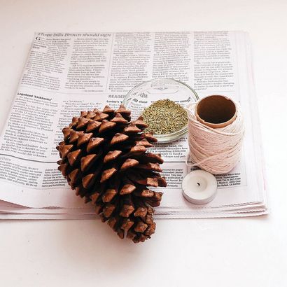 Bricolage Pinecone Allume-feu, PopSugar Smart Living