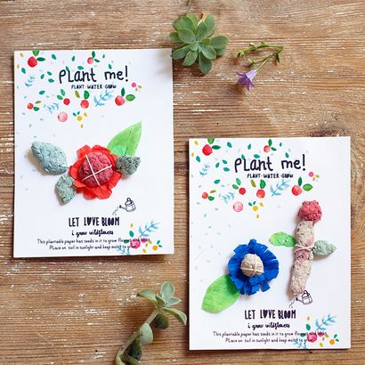 DIY pflanzbar Seed Papierkarten, handgemachte Charlotte