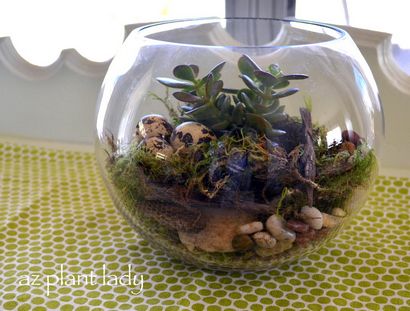 DIY-Projekte für das Haus, wie ein Terrarium Stellen