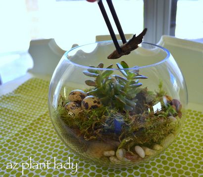 DIY-Projekte für das Haus, wie ein Terrarium Stellen