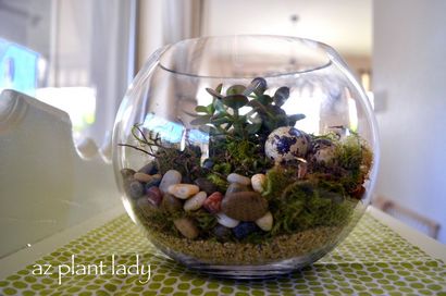 DIY-Projekte für das Haus, wie ein Terrarium Stellen