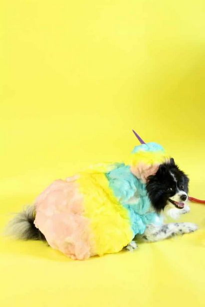 Costumes de bricolage arc-en-Cotton Candy pour dames - Les bébés de fourrure! Brite et Bubbly (coton) Costumes de bricolage arc-en-Cotton Candy pour dames - Les bébés de fourrure! Brite et Bubbly