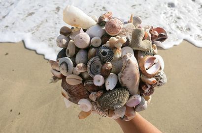 Bouquet DIY Shell
