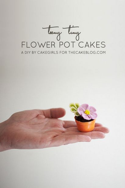 Bricolage Teeny petite fleur Pot Cakes (tutoriel gâteau) Gâteaux __gVirt_NP_NN_NNPS<__ Teeny bricolage minuscules fleurs Pot