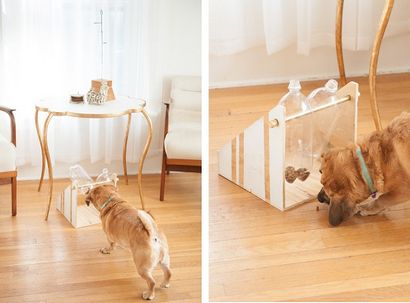 Bricolage Treat Dispenser # PAW2014 - Daily Dog TagDaily Dog Tag (distributeur) Bricolage Treat Dispenser # PAW2014 - Daily Dog TagDaily Dog Tag
