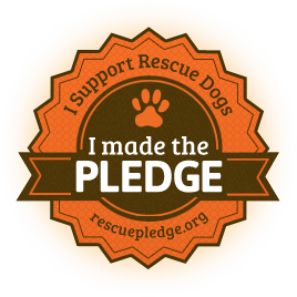 Bricolage Treat Dispenser # PAW2014 - Daily Dog TagDaily Dog Tag (tous les jours) Bricolage Treat Dispenser # PAW2014 - Daily Dog TagDaily Dog Tag