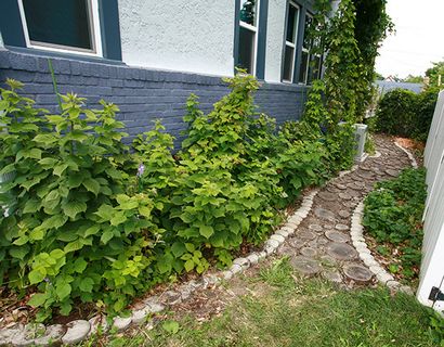 DIY Tutorial aufbereitetes Holz Scheibe Garten-Bahn, Feiern Erzeugung Essen, Leben, Kitties!