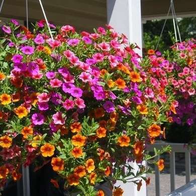 DIY Vertical Garden - 10 Ways to - Grow Up - Bob Vila