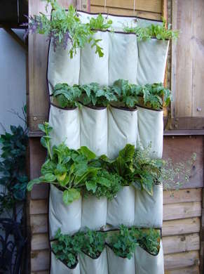Bricolage Jardin Vertical - 10 façons - Grow Up - Bob Vila