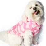 Vêtements pour chien - accessoires pour faire des modèles gratuits (accessoires) Vêtements pour chien - Accessoires pour faire des motifs libres