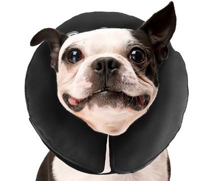 Dog cône - Buster Colliers, gonflable Colliers, Et Cônes Comfy - Nous vous aider à choisir