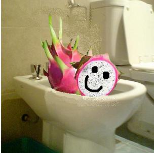 Kommen Dragon Fruit Rohboden zu einer Toilette in Ihrer Nähe, Grün Poop Expert of All Things # 2