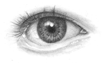 Dessin l'oeil humain - OnlyPencil Dessin Tutoriels