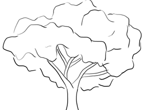 Dessin arbres Comment dessiner les arbres, branches, feuilles à dessin leçons étape par étape pour les techniques
