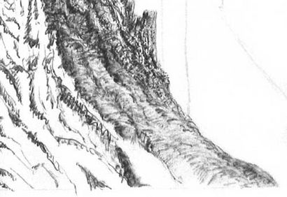 Les arbres de dessin (souches et lignes réseau), l'enseignement de l'art à l'encre (dessin) Les arbres de dessin (souches et lignes réseau), l'enseignement de l'art à l'encre