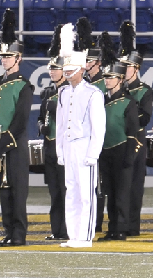 major_1 Drum (bio) major_1 tambour