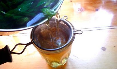 Eartheasy BlogNettle Tea - Comment faire un Tonic Printemps naturel - Blog Eartheasy