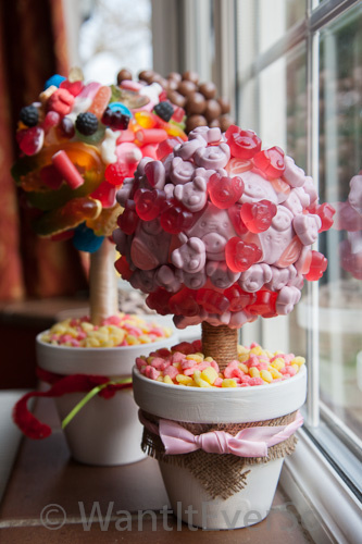 Cadeaux de Pâques - Arbres doux bricolage, WantItEverSo (Arbres sweetie comment faire) Cadeaux de Pâques - Bricolage doux Arbres, WantItEverSo