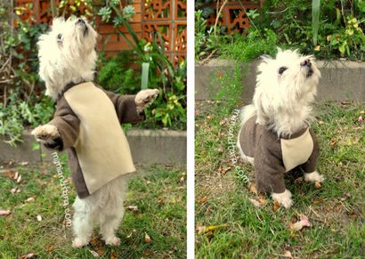 Facile Ewok Dog Costume Patterns - gratuit Download_1