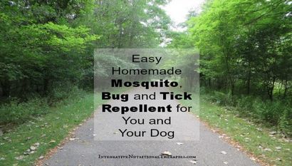 Einfache Hausgemachte Mosquito, Bug und Zeckenschutz für Sie und Ihren Hund - Melissa Malinowski, ND