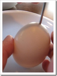 Leicht Anleitung auszuhöhlen ein Ei mit Fotos