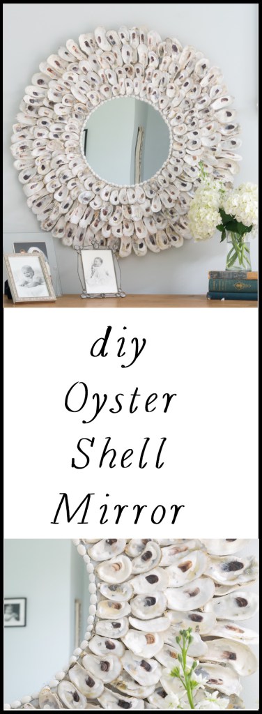 Facile à faire Oyster Shell Miroir - Nourrit et Nestle