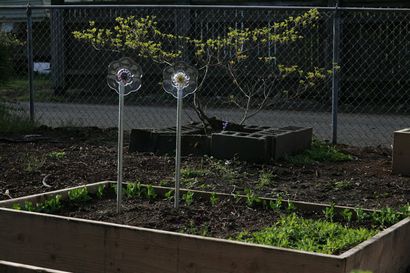 Ecolovies ~ Comment faire une fleur de jardin en verre, collecte des moments