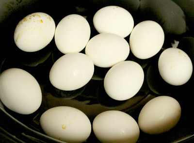 Epic Fail Egg Four-Style mijoteuse durs Oeufs