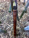 Erik der Flötenbauer - Verkauf von Flöten, Bambusflöten, Pennywhistles, Bambus Saxes und Side-Blown