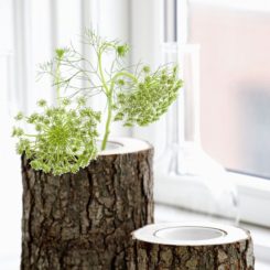 Automne Décor Comment le style d'un tronc d'arbre à la maison